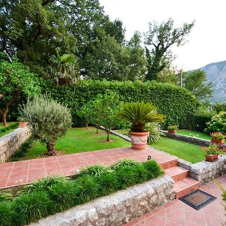Apartamento Djardin Kotor Exterior foto